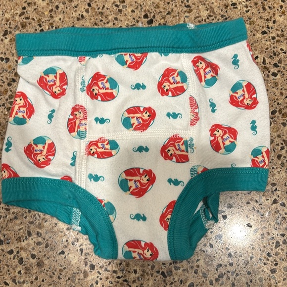 Hanna Andersson XS Princess Training Underwear 80/90 - Picture 6 of 7